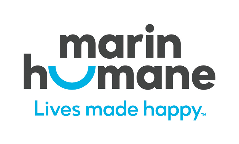 logo artwork file